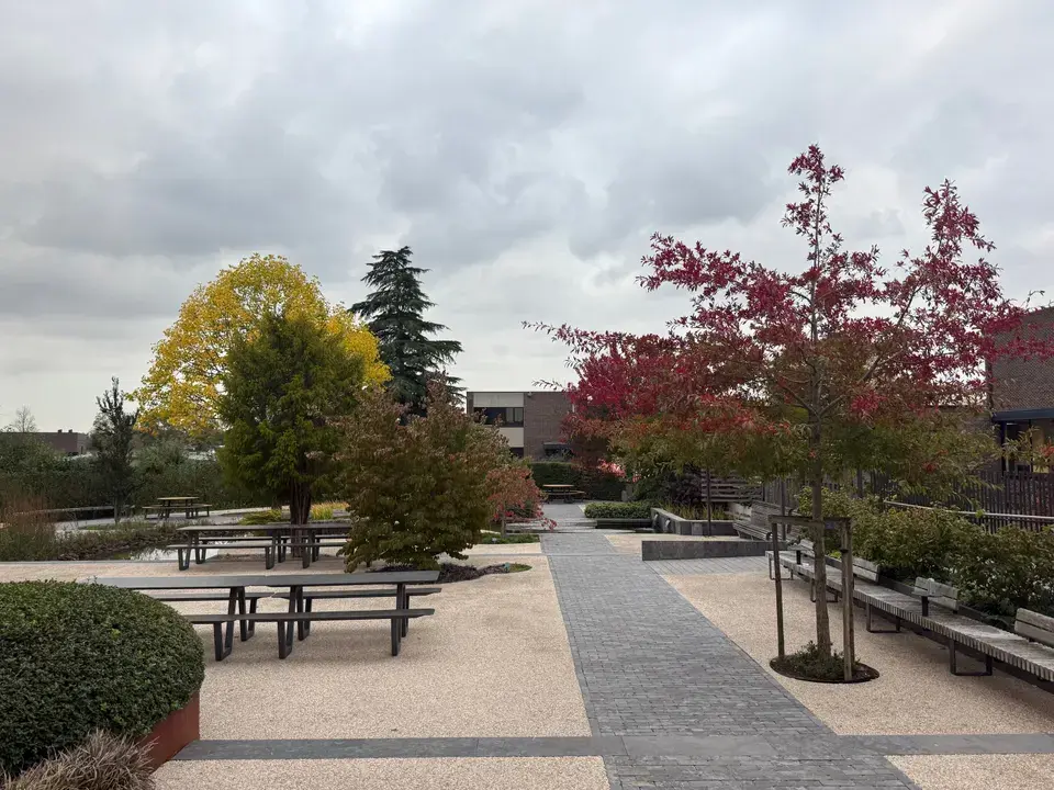 mold removal Olyphant